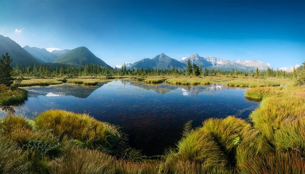 Norgesspill Casino  Koninkrijk der Nederlanden Speel Nu